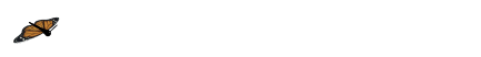 蝴蝶飛動(dòng)態(tài)分割線(xiàn)